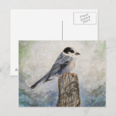 Post-Card-Jack Postkarte (Vorne/Hinten)