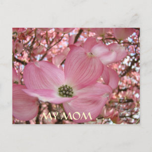 POST CARD Meine Mama Sweetest Life DOGWOOD BLUME Postkarte