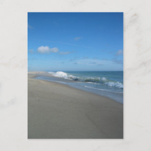 Post Card:Outer Beach on the Cape Postkarte