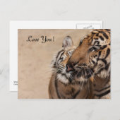 Post Card - Tiger - Tiger Tempel Thailand Postkarte (Vorne/Hinten)