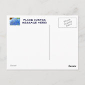 Post Cards Nature Custom Business Hydrangeas Postkarte (Rückseite)
