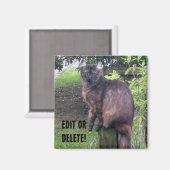 Post Cat Magnet (Vorderseite/Rückseite)