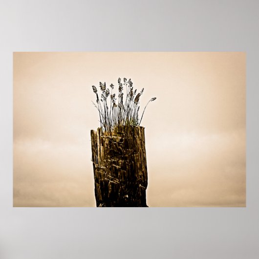 Post Grass Poster (Vorne)