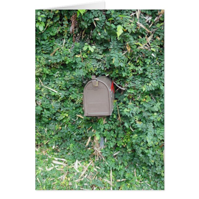 Post im Paradies (Vorne)