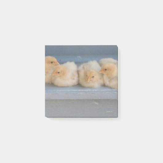 Post-It Klebezettel (Vorderseite)