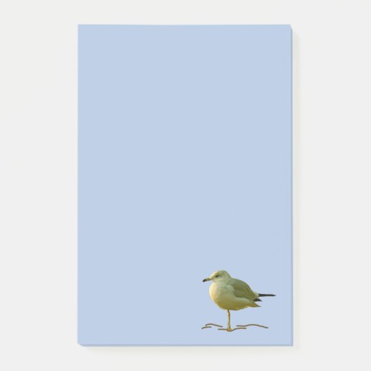 Post-it Note - Seagull Calm Post-it Klebezettel (Vorderseite)