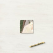 Post-it Notes  Klebezettel (Auf Schreibtisch)