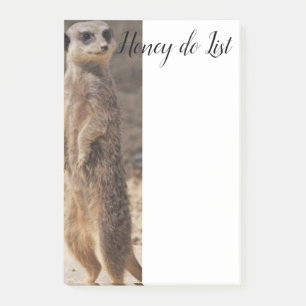 Post-it-Notizen Erdmännchen Post-it Klebezettel