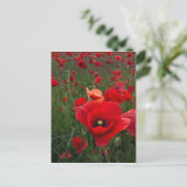 POST-Karte für Mohnfelder Postkarte (Stehend Vorderseite)