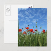 POST-Karte für Mohnfelder Postkarte (Vorne/Hinten)