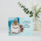 POST-KARTE - WERBUNG - NIEDLICHES SQUIRREL POSTKARTE (Stehend Vorderseite)