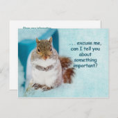 POST-KARTE - WERBUNG - NIEDLICHES SQUIRREL POSTKARTE (Vorne/Hinten)