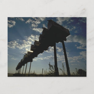 Post packt Postkarte ein