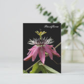 Postal de Passiflora Postkarte (Stehend Vorderseite)