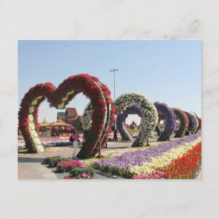 Postal Dubai Miracle Garden Postkarte