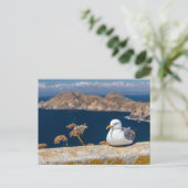 Postal gaviota en las Islas Cíes Postkarte (Stehend Vorderseite)