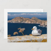 Postal gaviota en las Islas Cíes Postkarte (Vorne/Hinten)