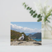 Postal gaviotas en las Islas Cíes Postkarte (Stehend Vorderseite)
