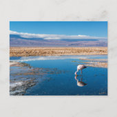 Postal, Lago en San Pedro de Atacama, Chile Postkarte (Vorderseite)