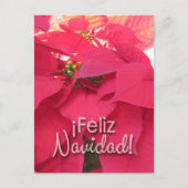 Postal Xmas 001 - Spanish - Postcard Postkarte (Vorderseite)
