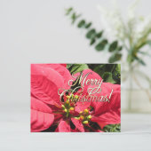 Postal Xmas 002  - Postcard Postkarte (Stehend Vorderseite)