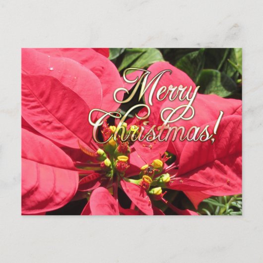 Postal Xmas 002  - Postcard Postkarte (Vorderseite)