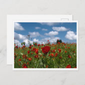 Postalchamps de coquelicot postkarte (Vorne/Hinten)