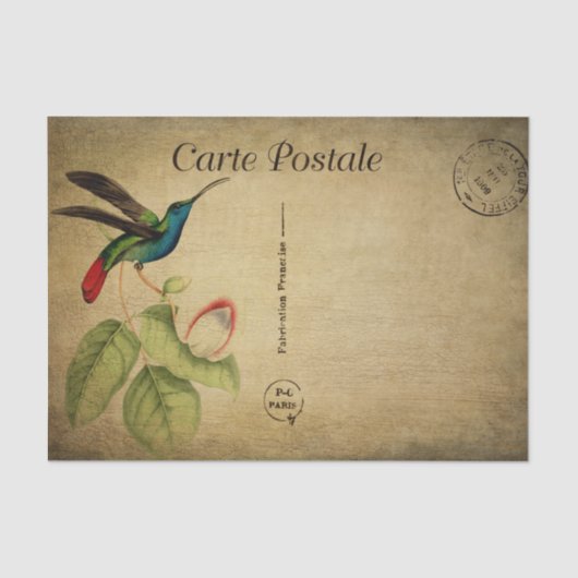Postale Hummingbird Seidenpapier (Vorderseite)