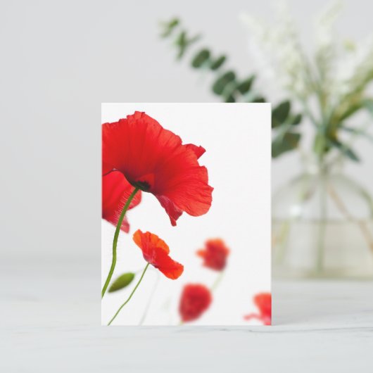 Postale Karte - Fleurs de coquelicots (Stehend Vorderseite)