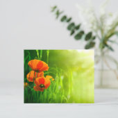 Postale Karte - Fleurs de coquelicots (Stehend Vorderseite)
