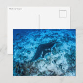 Postale, Manta ray タ レ イ Postkarte (Vorne/Hinten)