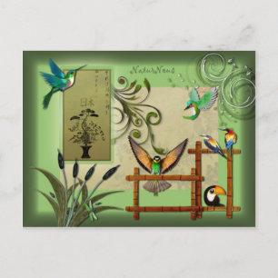 Postale oiseaux natur postkarte