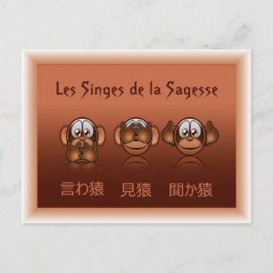 Postale singes de la sagesse postkarte