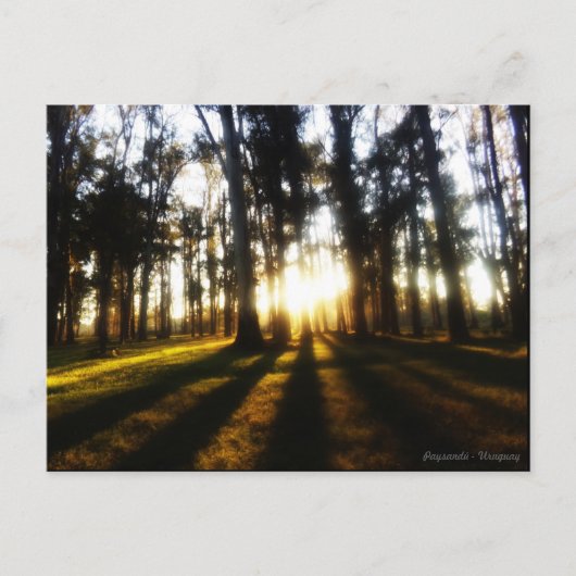 Postales Uruguay Postkarte (Vorderseite)