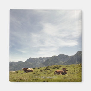postalm Straße, weissenbachtal, 3 Magnet