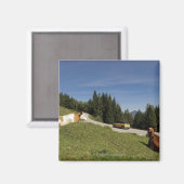 Postalm-Straße, weissenbachtal, Magnet (Vorderseite/Rückseite)