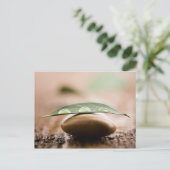 Postanweisung Postkarte (Stehend Vorderseite)