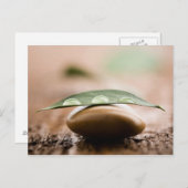 Postanweisung Postkarte (Vorne/Hinten)