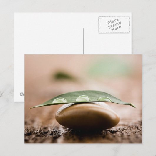 Postanweisung Postkarte (Vorne/Hinten)