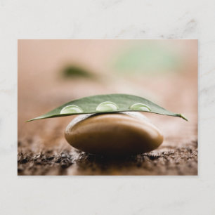 Postanweisung Postkarte