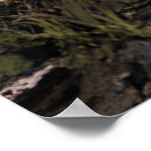 Postapokalyptische Zerstörung | Ausgegebene Gebäud Poster (Ecke)