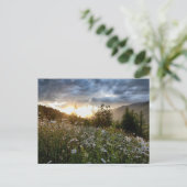 POSTCARD ~ "A Daisy Sunset" Postkarte (Stehend Vorderseite)