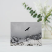 Postcard Adler Snowy Mountains Postkarte (Stehend Vorderseite)