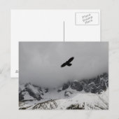 Postcard Adler Snowy Mountains Postkarte (Vorne/Hinten)