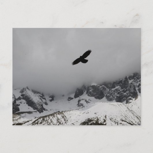 Postcard Adler Snowy Mountains Postkarte (Vorderseite)