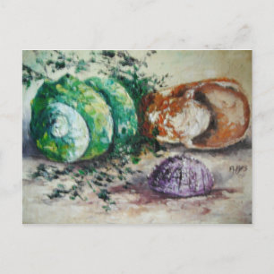 Postcard Ann Hayes Painting Muscheln Postkarte