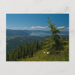 POSTCARD ~ Ansicht von Clark Fork von Scotchman Pe Postkarte