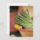 POSTCARD ASPARAGUS POSTKARTE (Vorne/Hinten)
