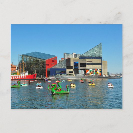 Postcard Baltimore National Aquarium, USA Postkarte (Vorderseite)