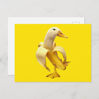 Postcard Banana Duck Meme Postkarte